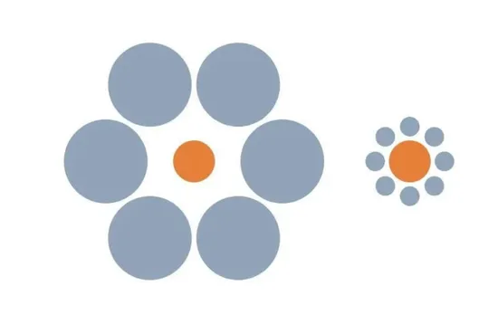The Ebbinghaus Illusion