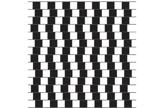 Why are our brains like this