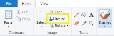 Paint resize tool