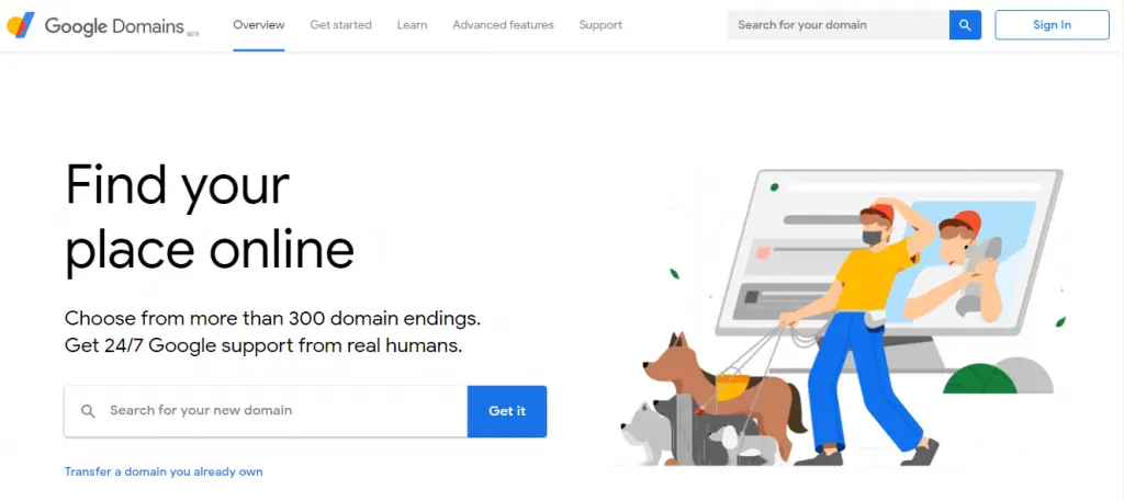 The Google domain selling site.