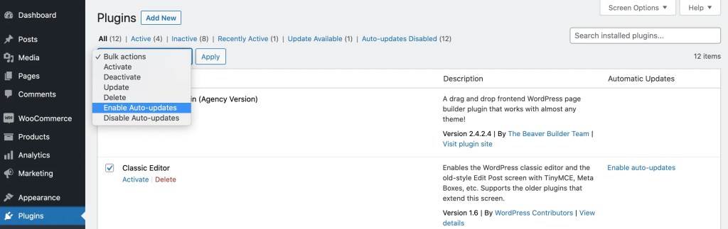 WordPress' audio-update settings.