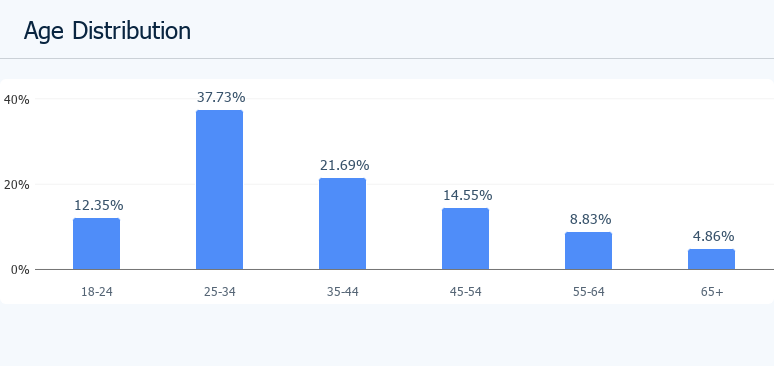 Website Analysis Age Distribution