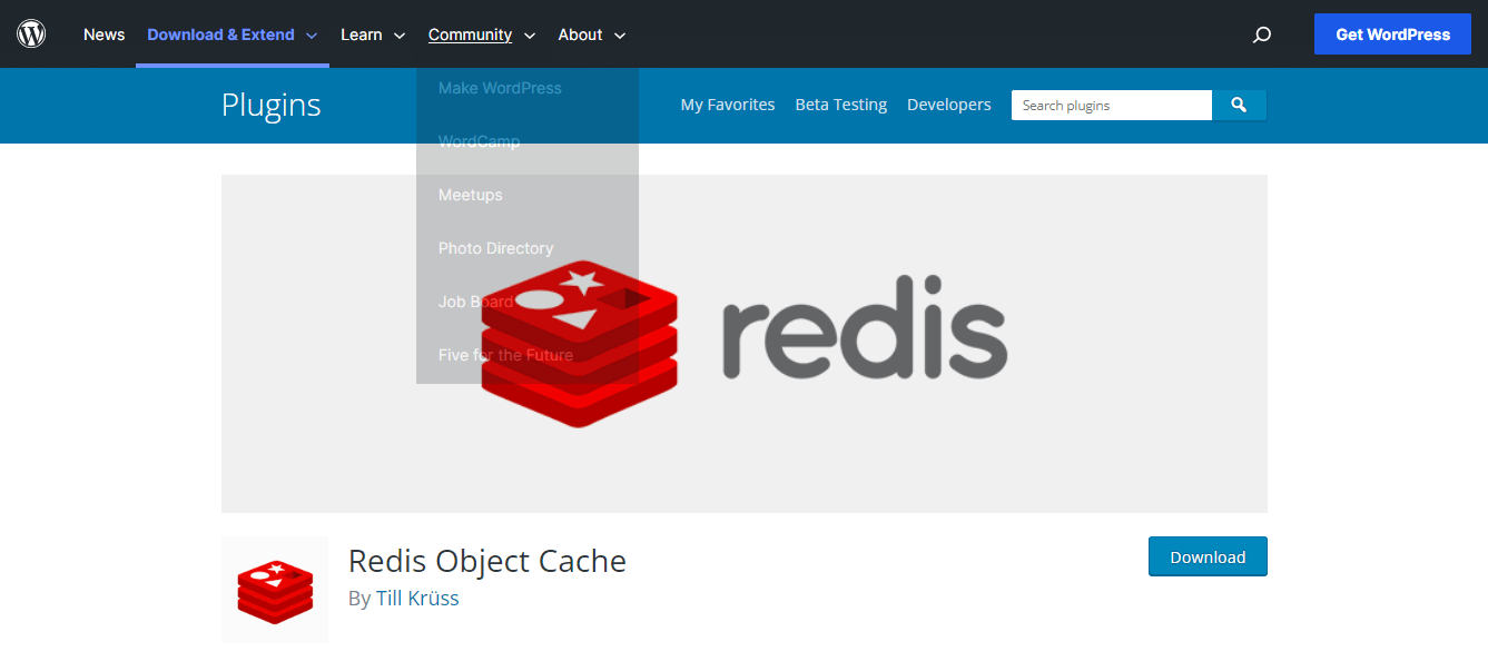 Redis