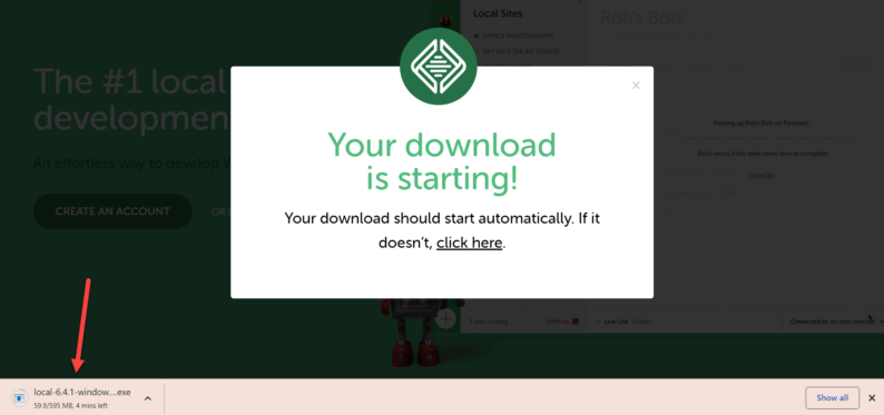 The Download Will Start
