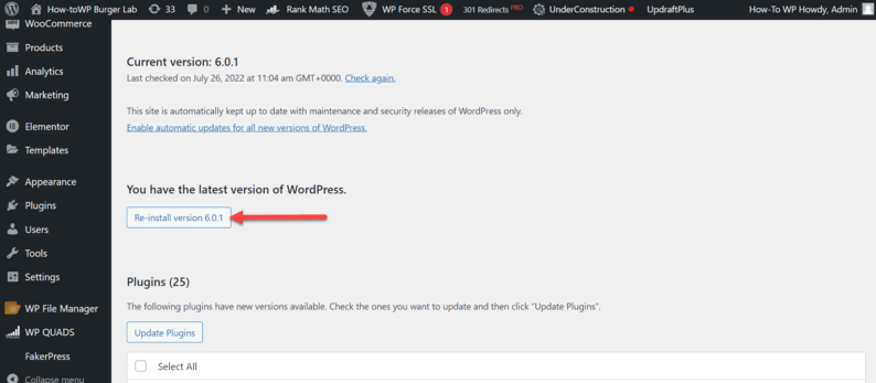 Click The &Quot;Re-Install Version&Quot; Button