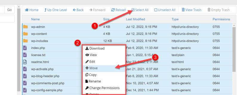 Move All Of The Files Out Of The Folder
