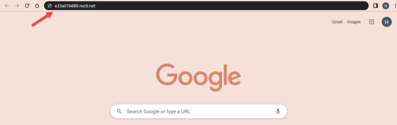 Paste The Hostname In The Url Section Of A New Tab