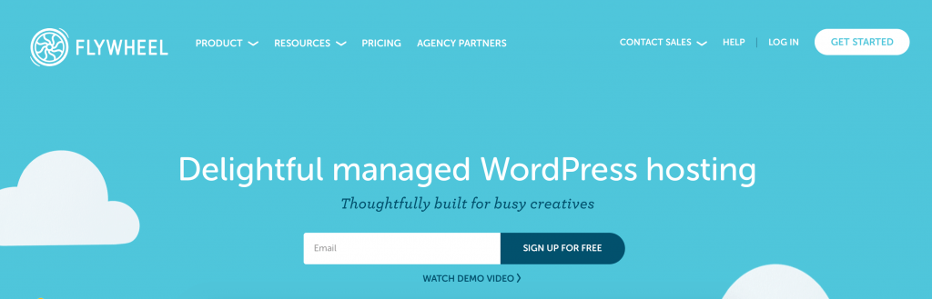 Flywheel managed WordPress hosting.