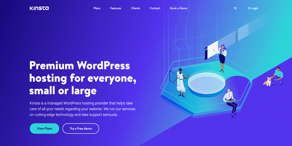 The Kinsta website.