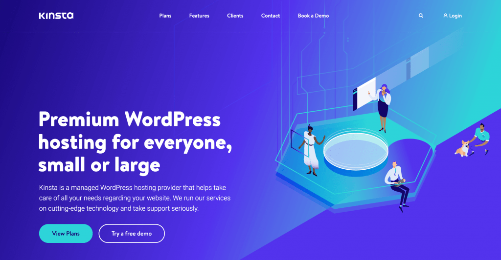 Kinsta web hosting for agencies.
