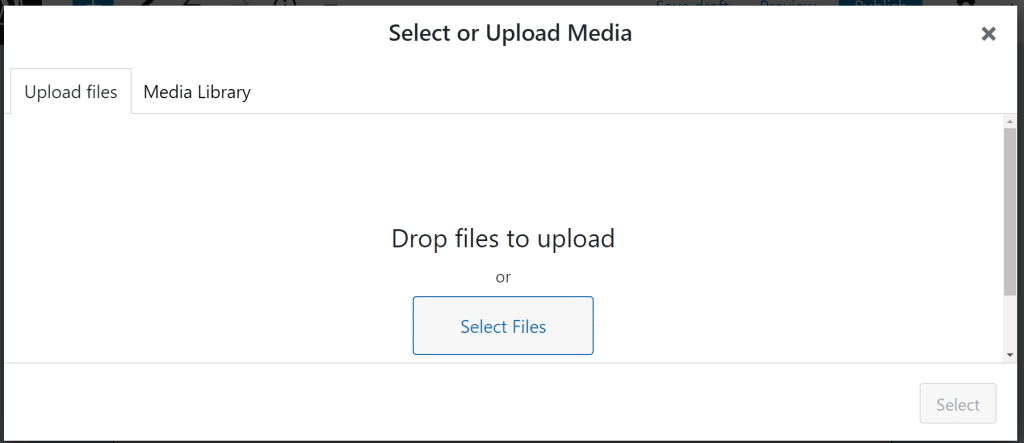 create a download link in WordPress