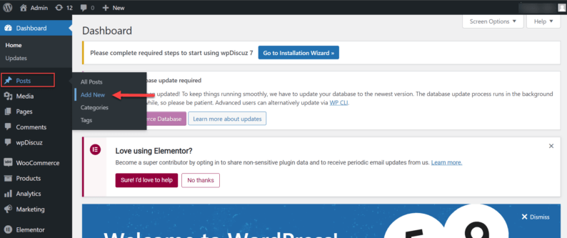 Go To The Post Option And Click On The Add New Option.