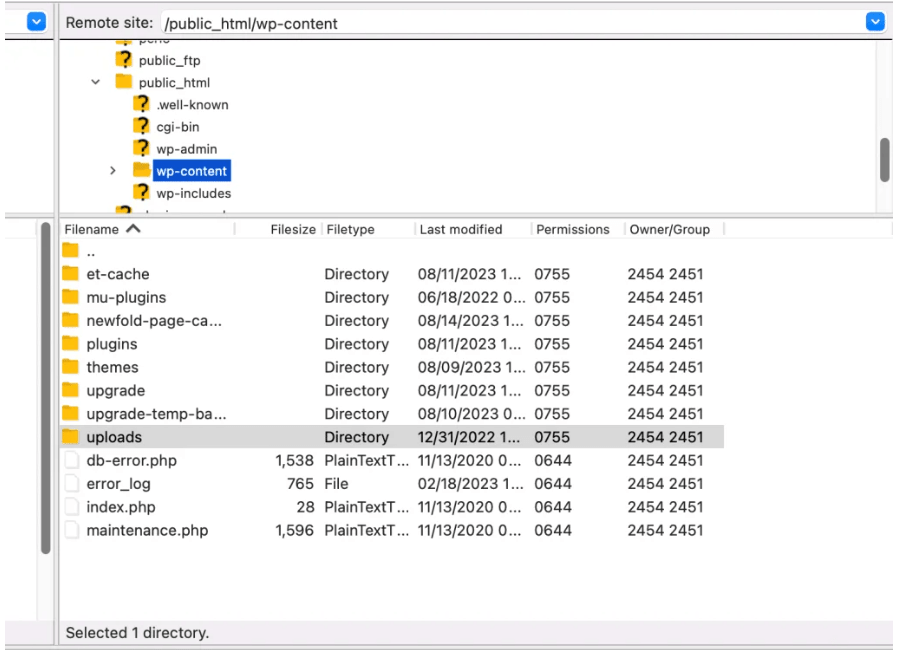 Manually Install a WordPress Theme
