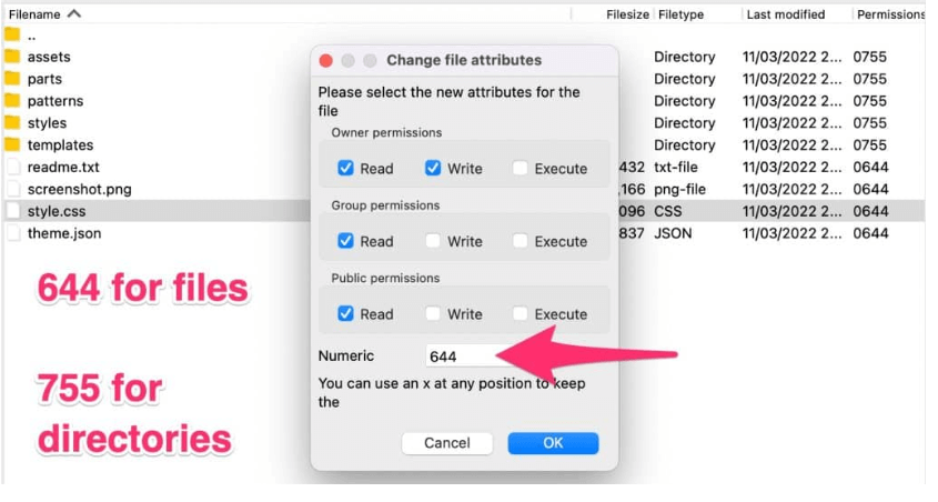Manually Install a WordPress Theme